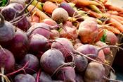 Culture commerciale des légumes biologiques, du semis à la récolte : Partie 1 - en ligne