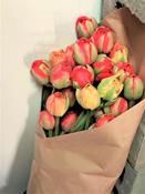 Fleurs coupées - Le forçage de tulipes en production commerciale - en ligne 