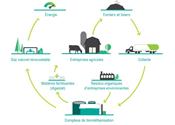 1. Le biométhane sous toutes ses facettes